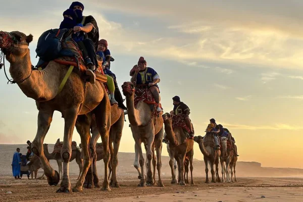 Agadir Quad Biking And Camel Ride on the Beach
