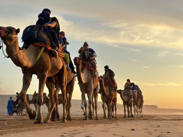Agadir Quad Biking And Camel Ride on the Beach