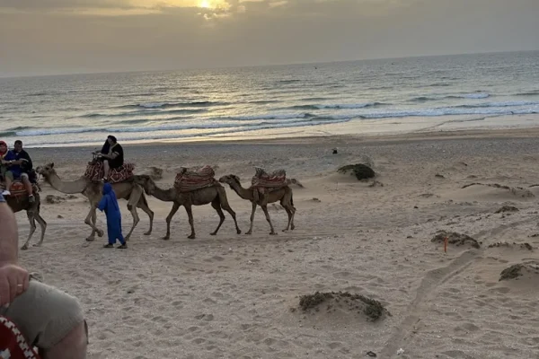 Sunset Camel Ride & BBQ in Tamri