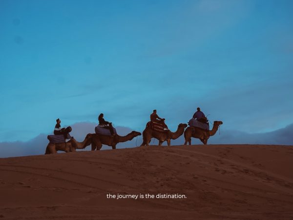Timlalin Dunes Half Day Adventure: Sandboarding & Quad bike & Camel ride